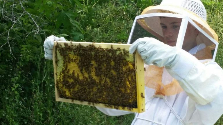Williamson Co. Beekeepers donation